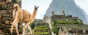 Machu Picchu Tour from Cusco